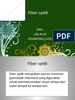 Fiber Optik