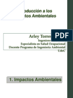 Introduccion Al Impacto Ambiental