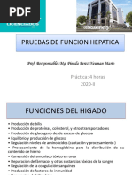 CLASE 12 PRUEBAS DE FUNCION HEPATICA Practica 2