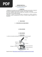 Informe Práctica 9 Determinación de Ácido Ascórbico