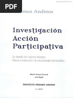 Rigal Sirvent Invest Accion Participativa