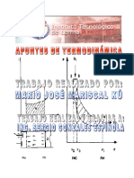 Termodinamica PDF