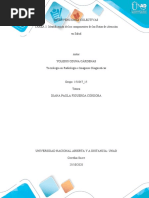 Tarea 3. Identificación de Los Componentes de Las Rutas de Atención