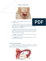 Anatomy and Physiology of Female Reproductive System