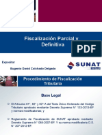 Fiscalización+Parcial+y+Definitiva - DAVID COLCHADO