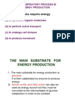 Living Organisms Require Energy: The Respiratory Process in Energy Production