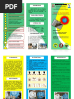 Parchechirichiri Triptico PDF