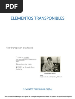 Elementos Transponibles