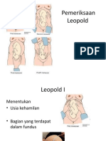 Pemeriksaan Leopold - Catur