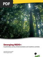 Emerging REDD