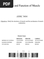 Structure and Function of Muscle: ANSC 3404