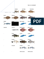 Fishing Calendar - Calendario de Pesca