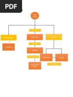 Concept Map: Evolved Into