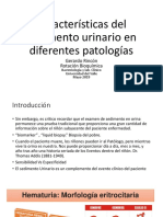 Gerardo Caracteristicas Del Sedimento U PDF