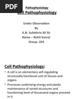 Cell Pathophysiology