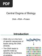 Central Dogma of Biology: DNA RNA Protein