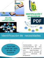 Identificación y Selección de Un Proyecto