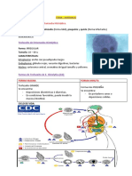 Resumen I-Parcial Parasito