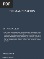 TURMALINIZACION