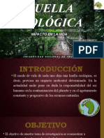 Huella Ecologica-Expo-Final