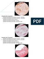 Histologie PDF