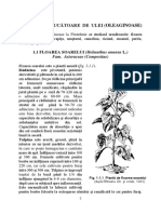 Floarea Soarelui PDF