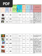 Clasificación de Flores y Frutos