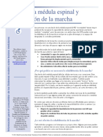 Lesión Medular Rehabilitación PDF