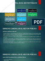 Derecho Laboral Sector Público Pablo