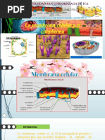 La Membrana Celular y El Citoplasma