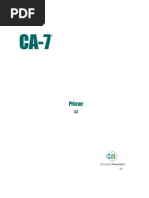 CA7 Primer