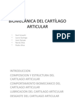 Biomecánica Del Cartílago Articular