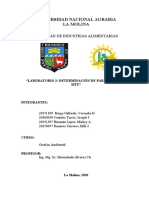 Determinación de Parámetros in Situ