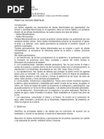 Practica Tejidos Vegetales PDF