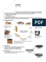 Development of Drosophila: Hand-Out CBT Chapter 2 Wolpert, 5 Edition March 2018