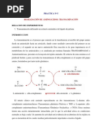 PRACTICA No 5