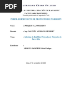 Arroyo Sanchez Edwin Enrique - Informe de Perfil de Proyecto de Inversión