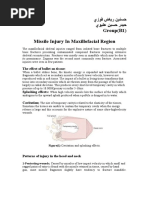 يزوف ضاير نينسح يويلع نيسح رديح Group (B1) Missile Injury In Maxillofacial Region