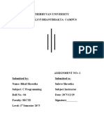 C Programming Report