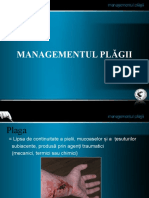 Managementul Plagii