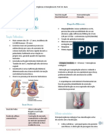 Urgências Urológicas