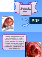 4 Bienestar Fetal