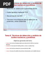 Tema6 Tecnicas Deteccion