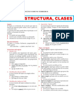 Estructura y Clases de Sujeto