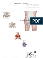 Osteopatia El Pelvis y El Sindrome Priamidal