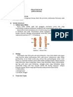 Praktikum 11 - Spina Bifida