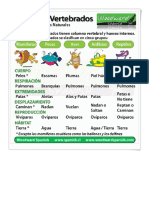 Animales Vertebrados e Invertebrados