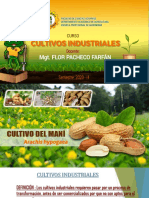 El Mani PDF