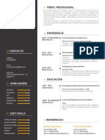 CV Nicolas Castellanos PDF