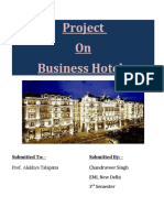 Project On Business Hotels: Submitted To: - Submitted By